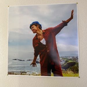 Harry Styles Poster